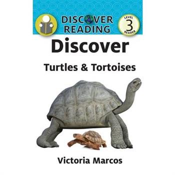 Discover Turtles & Tortoises
