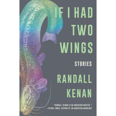 If I Had Two Wings