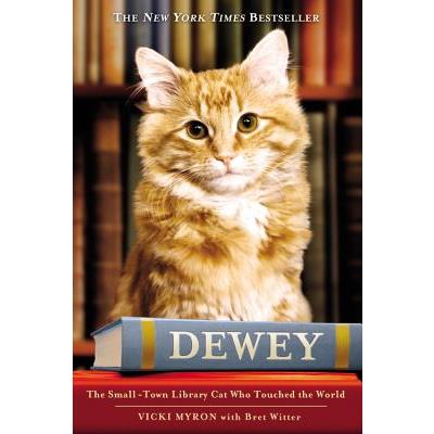 Dewey 圖書館裡的貓