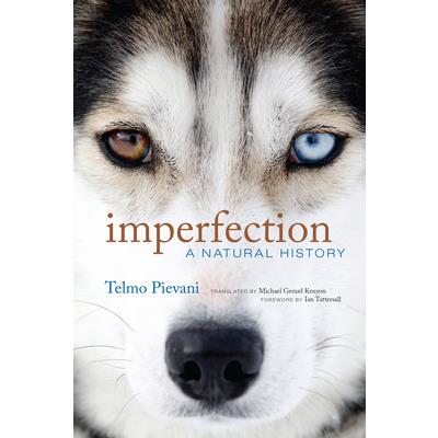 Imperfection