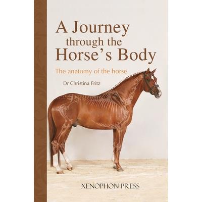 A Journey Through the Horse's Body