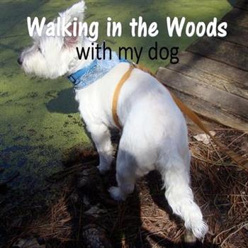 Walking in the Woods with my dog