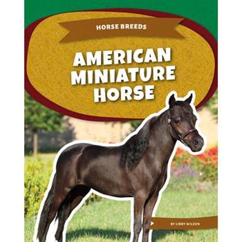 American Miniature Horse