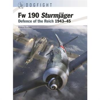 FW 190 Sturmj瓣ger