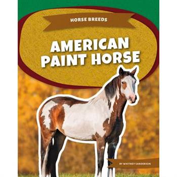 American Paint Horse
