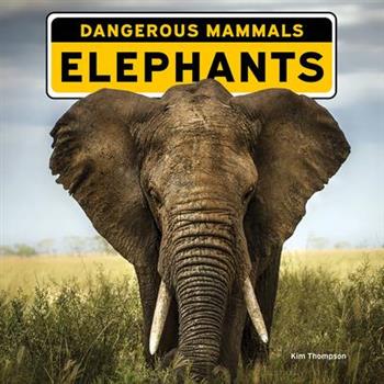 Elephants