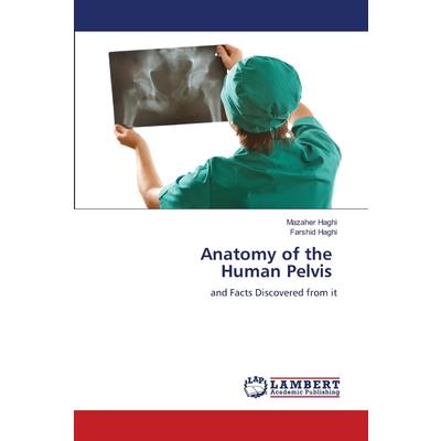 Anatomy of the Human Pelvis