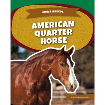 American Quarter Horse