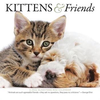 Kittens & Friends