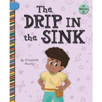 The Drip in the Sink