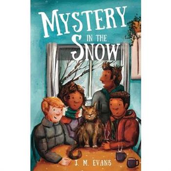 Mystery in the Snow