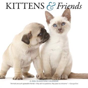 Kittens & Friends