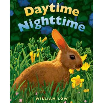 Daytime Nighttime