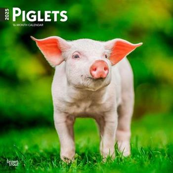 Piglets 2025 12 X 24 Inch Monthly Square Wall Calendar Plastic-Free Piglets 2025 12 X 24 Inch Monthly Square Wall Calendar Plastic-Free