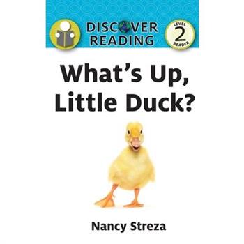 What’s Up Little Duck