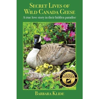 Secret Lives of Wild Canada Geese