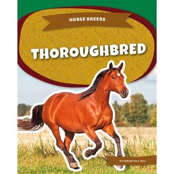 Thoroughbred