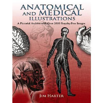 Anatomical and Medical Illustrations