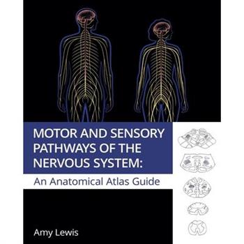 Motor and Sensory Pathways of the Nervous System