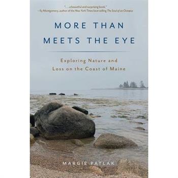 More Than Meets the Eye