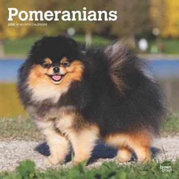 Pomeranians 2025 12 X 24 Inch Monthly Square Wall Calendar Plastic-Free Pomeranians 2025 12 X 24 Inch Monthly Square Wall Calendar Plastic-Free