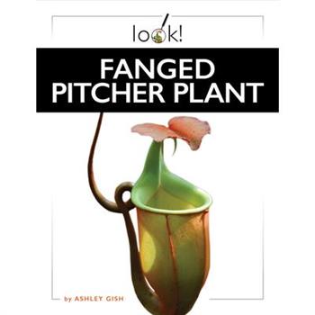 Fanged Pitcher Plant
