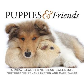 Puppies & Friends