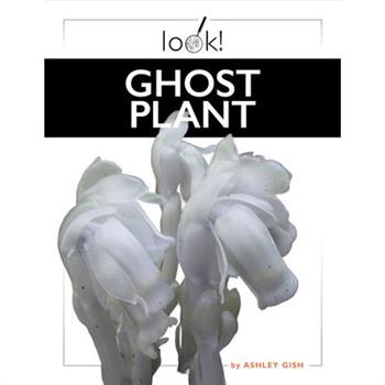 Ghost Plant