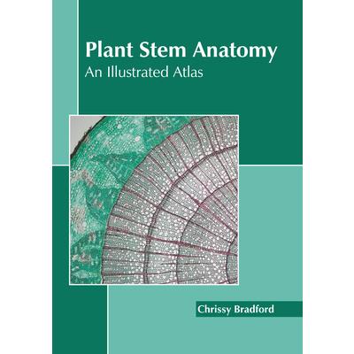 Plant Stem Anatomy: An Illustrated Atlas