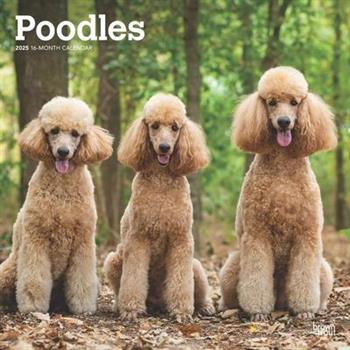 Poodles 2025 12 X 24 Inch Monthly Square Wall Calendar Plastic-Free Poodles 2025 12 X 24 Inch Monthly Square Wall Calendar Plastic-Free