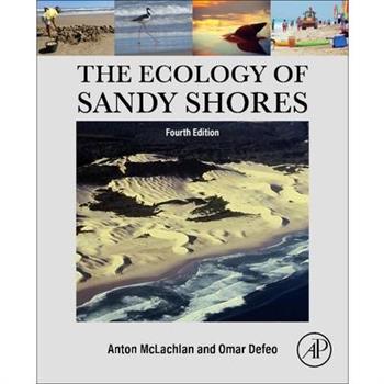The Ecology of Sandy Shores