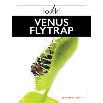 Venus Flytrap