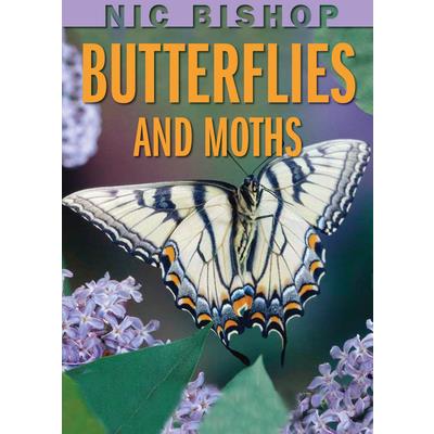 Butterflies and Moths