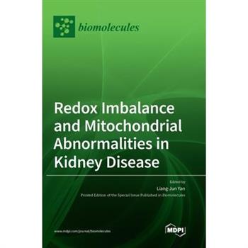 Redox Imbalance and Mitochondrial Abnormalities in Kidney Disease