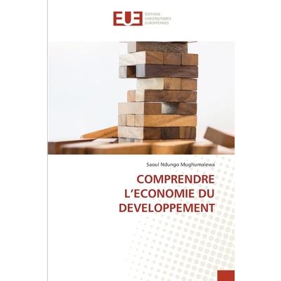 Comprendre l’Economie Du Developpement