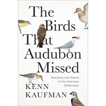 The Birds That Audubon Missed