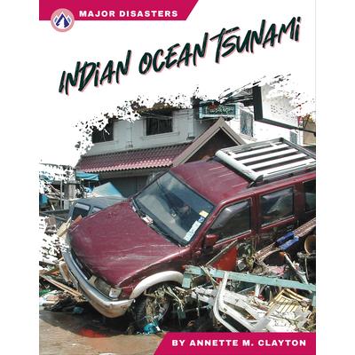 Indian Ocean Tsunami