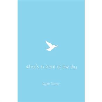 What's in Front of the Sky