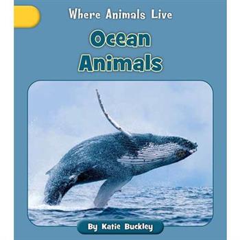 Ocean Animals