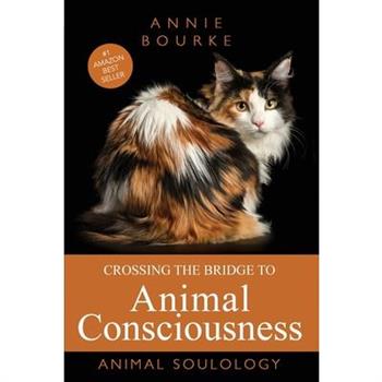 Crossing the Bridge to Animal Consciousness