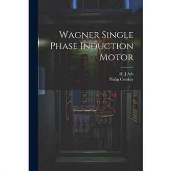 Wagner Single Phase Induction Motor