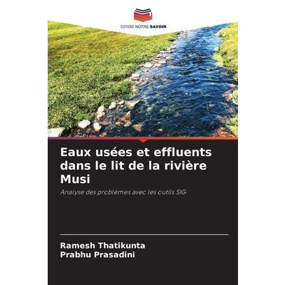 Eaux us矇es et effluents dans le lit de la rivi癡re Musi