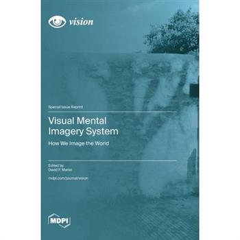 Visual Mental Imagery System