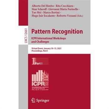 Pattern Recognition. Icpr International Workshops and Challenges