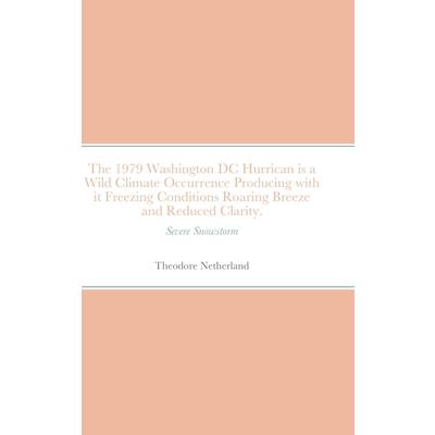 The 1979 Washington DC Hurrican is a Wild Climate Occurrence Producing with it Freezing Conditions Roaring Breeze and Reduced Clarity.