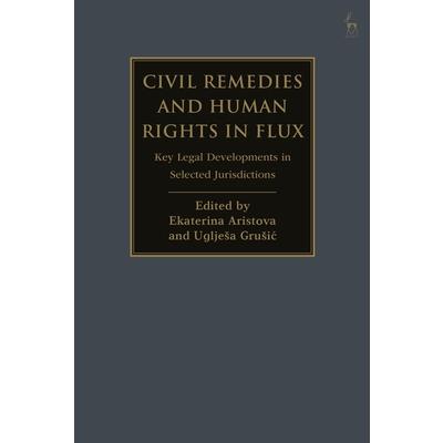 Civil Remedies and Human Rights in Flux