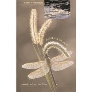 A Walk around the Pond