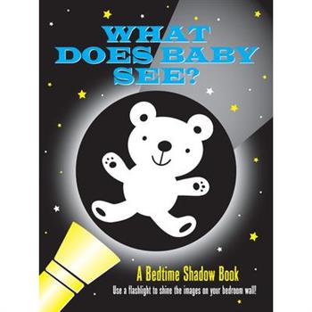 What Does Baby See? Bedtime Shadow Book
