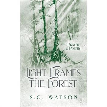 Light Frames the Forest
