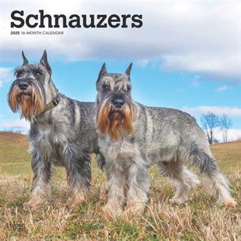 Schnauzers 2025 12 X 24 Inch Monthly Square Wall Calendar Plastic-Free Schnauzers 2025 12 X 24 Inch Monthly Square Wall Calendar Plastic-Free